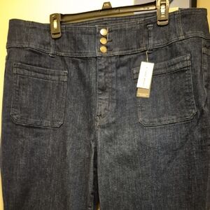Lane Bryant Flare Jeans